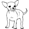 Chihuahua rubber stamp