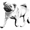 Pug rubber stamp